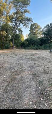 Foto - andere in Ginsheim-Gustavsburg zur Miete