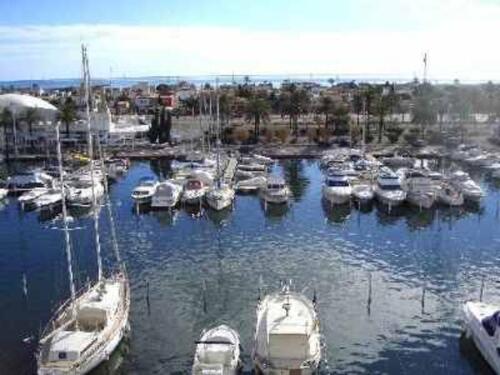 Foto - andere in Heidelberg