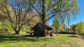 Foto - Idyllisches Freizeitgrundstück mit Weihern zu verpachten