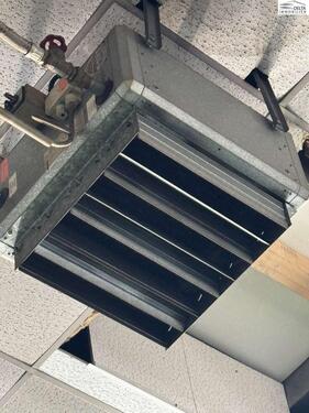 Foto - andere in Duisburg