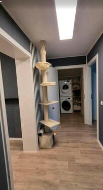 Foto - Dachgeschoßwohnung in Berlin zur Miete