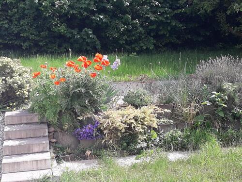 Foto - Einfamilienhaus in Waiblingen