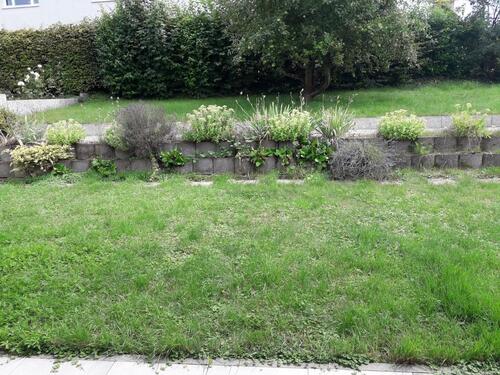 Foto - Einfamilienhaus in Waiblingen zum Kaufen