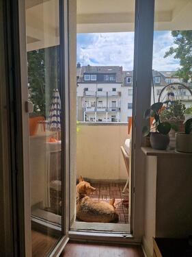 Foto - Etagenwohnung in Düsseldorf