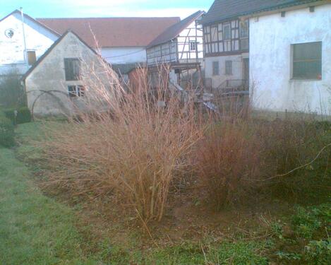 Foto - Grundst&uuml;ck in Hofheim in Unterfranken