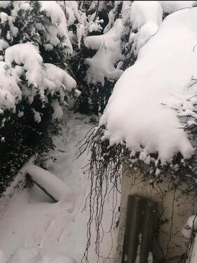 Foto - 6.5 Zimmer Einfamilienhaus in Weiding