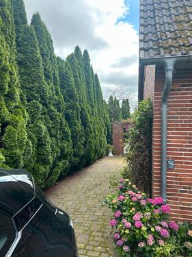 Foto - Einfamilienhaus zum Kaufen in Dägeling