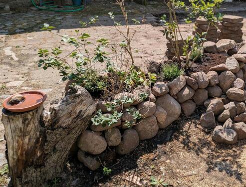Foto - Einfamilienhaus in Jarmen