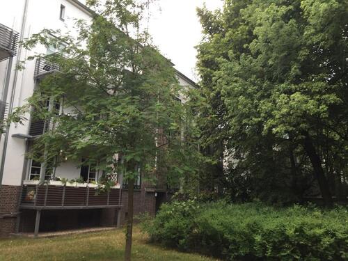 Foto - 2 Zimmer Etagenwohnung in Hannover