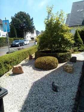 Foto - 4 Zimmer Einfamilienhaus zum Kaufen in Weilerswist