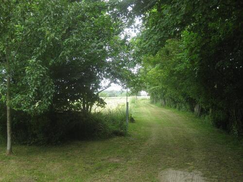 Foto - Bauernhaus, Landhaus in Krummhörn zum Kaufen