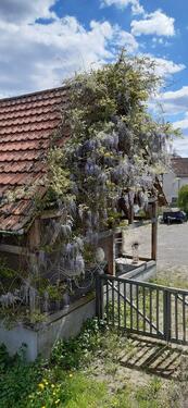 Foto - Einfamilienhaus in Hosenfeld