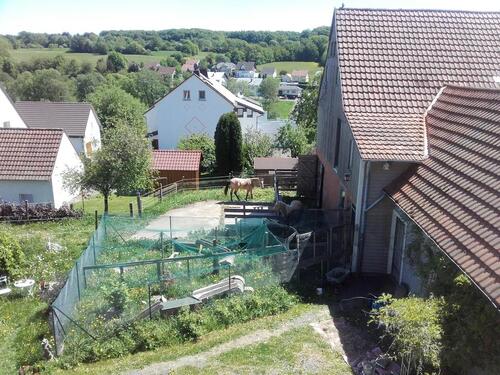 Foto - Einfamilienhaus in Hosenfeld zum Kaufen