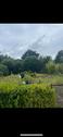 Foto - Schrebergarten 608qm2 - 3.000,00 EUR Kaltmiete, ca.  0,00 m²