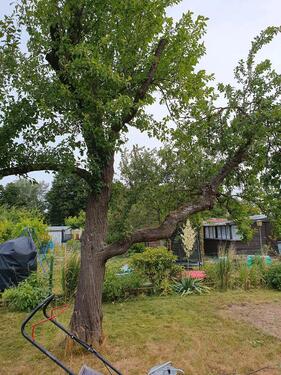 Foto - Grundstück zur Miete in Braunschweig