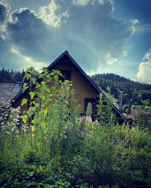 Foto - Schwarzwaldperle im Herzen von Todtmoos