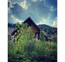 Schwarzwaldperle im Herzen von Todtmoos