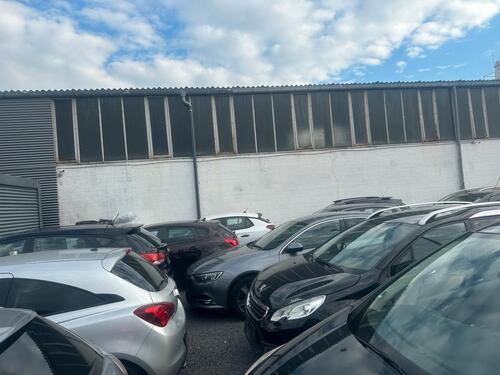 Foto - andere in Rüsselsheim am Main