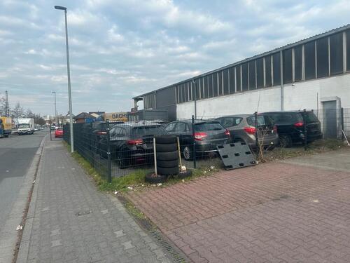 Foto - andere in Rüsselsheim am Main zur Miete