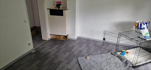 Foto - 3 Zimmer Etagenwohnung zur Miete in Kusel