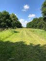 Foto - Freizeit-Grünfläche 13.300 qm in Varel zu verpachten