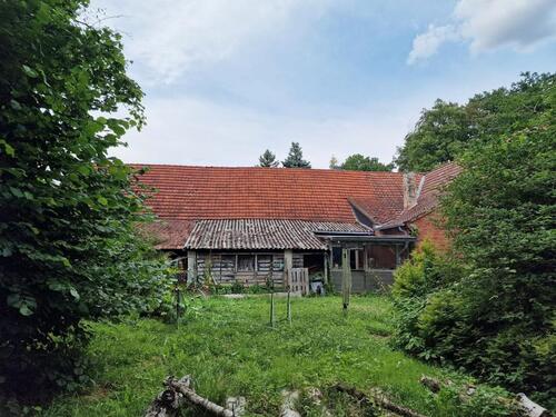 Foto - 5 Zimmer Bauernhaus, Landhaus zum Kaufen in Petershagen