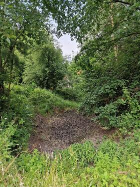 Foto - Bauernhaus, Landhaus in Petershagen zum Kaufen