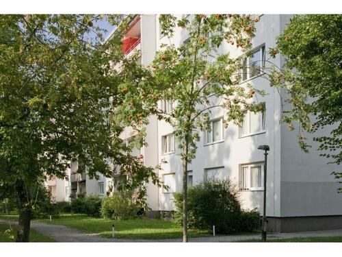 Foto - Etagenwohnung zur Miete in Halle (Saale)