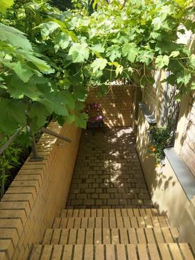 Foto - 2 Zimmer Etagenwohnung in Halle (Saale)