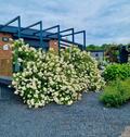 Foto - Ferienhaus 'Seepark Cox' - 100,00 EUR Kaltmiete,