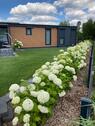 Foto - andere in Goch
