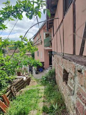 Foto - Einfamilienhaus in Bischbrunn zum Kaufen