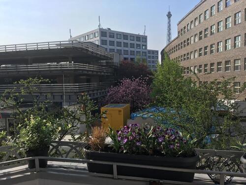Foto - Ruhige und großzügige Familienwohung mit Funkturmblick - Westend
