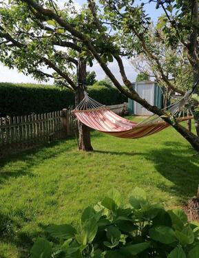 Foto - wunderschöner Garten, top gepflegt