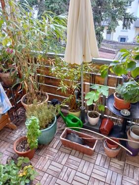 Foto - Etagenwohnung zur Miete in Nürnberg