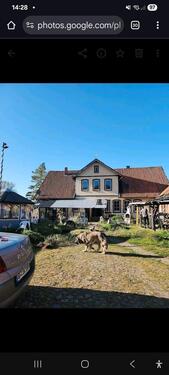 Foto - Resthof mit anliegender Weide und Stallungen