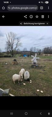 Foto - 1 Zimmer Einfamilienhaus in Wittingen