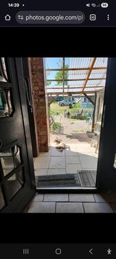 Foto - Einfamilienhaus in Wittingen zum Kaufen