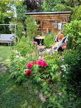 Foto - 3 Zimmer Reihenhaus in Dessau-Roßlau