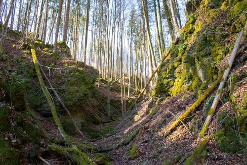 Foto - ** Immobilie MFH in Wolfenbüttel vermietet 1900€ mtl KALTMIETE **