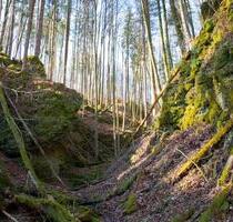 ** Immobilie MFH in Wolfenbüttel vermietet 1900€ mtl KALTMIETE **