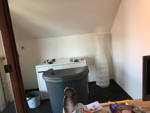 Foto - 1 Zimmer Etagenwohnung zur Miete in Edenkoben