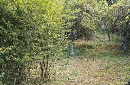 Foto - verpachten kleines Grundstück in Urbach