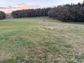 Foto - Acker- und Wiese in Lauf ad Pegnitz Heuchling gegen Höchstgebot