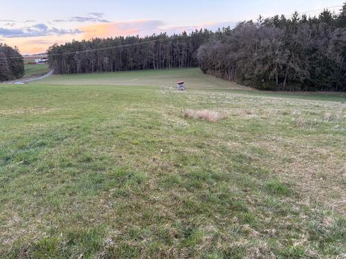 Foto - Acker- und Wiese in Lauf ad Pegnitz Heuchling gegen Höchstgebot