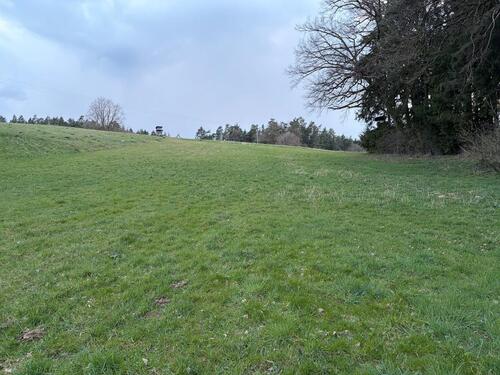 Foto - Grundst&uuml;ck zur Miete in Lauf an der Pegnitz