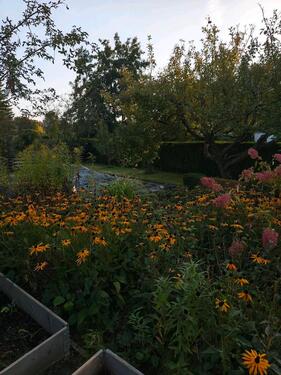 Foto - Grundstück zur Miete in Schortens