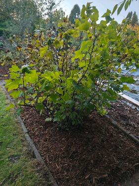 Foto - Grundstück in Schortens zur Miete