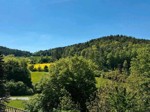 Foto - Etagenwohnung in Hirschbach zur Miete