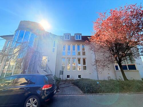 Foto - andere in Dresden